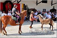 ulrichsfest 2025 33 1200