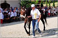 ulrichsfest 2025 36 1200