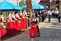 ffw-das fest-20.07.2014-08 36 27 olaf kaudelka p1420