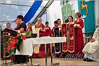 ffw-das fest-20.07.2014-10 40 04 olaf kaudelka p1420