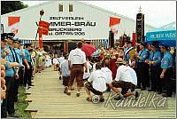 ffw-das fest-20.07.2014-15 09 15 hans niedermeier p1420