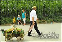 ffw-das fest-20.07.2014-15 32 15 hans niedermeier p1420