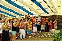 ffw-das fest-20.07.2014-17 09 52 hans niedermeier d1420