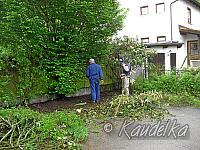 garteln am feuerwehrhaus 16 05 2009 06