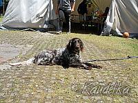 ministrantenzeltlager st ottilien 5 6 -9 6 2017 07 06 2017 132
