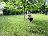 ministrantenzeltlager hollfeld 20 -25 05 2018 22 05 2018 177 1280
