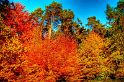 herbstfarben