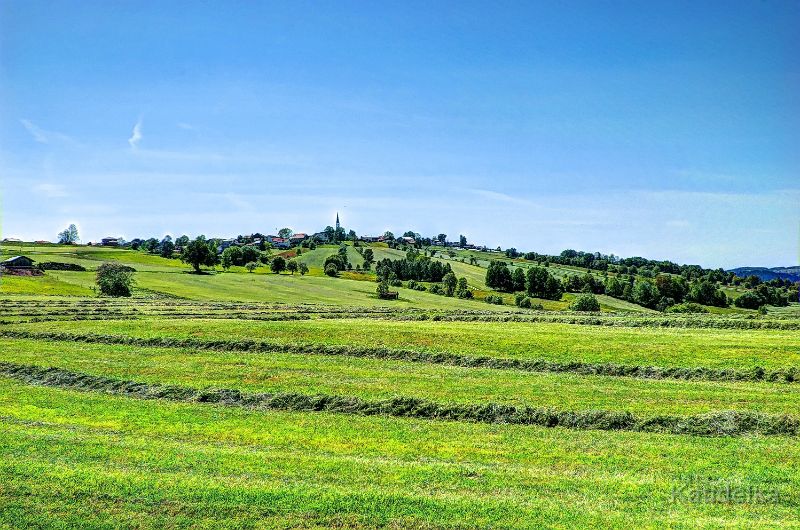 Schoenberg.jpg - Schönberg, Bayerischer Wald