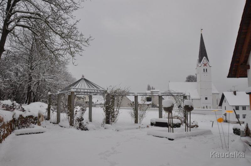 96_winter-gartenbilder_-_gelbe_scheiben_31.12.2014.jpg - Winter-Gartenbilder - gelbe Scheiben 31.12.2014