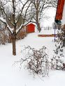 75_winter-gartenbilder_-_vorm_haus_12.02.2010