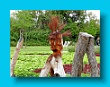 Kleine Gartenschau Kitzingen, Besichtigung Würzburg