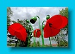 Kleine Gartenschau Kitzingen, Besichtigung Würzburg