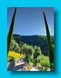 gartenbauverein_2-tagesfahrt_schloss_trauttmannsdorf_bei_meran_058