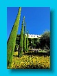 gartenbauverein_2-tagesfahrt_schloss_trauttmannsdorf_bei_meran_061
