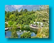 gartenbauverein_2-tagesfahrt_schloss_trauttmannsdorf_bei_meran_080