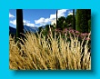 gartenbauverein_2-tagesfahrt_schloss_trauttmannsdorf_bei_meran_112