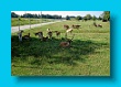 bayerischer_jakobsweg_2020_12.08.2020_05