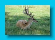 bayerischer_jakobsweg_2020_12.08.2020_06