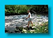 bayerischer_jakobsweg_2020_12.08.2020_07