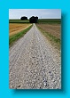 bayerischer_jakobsweg_2020_14.08.2020_28