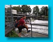 bayerischer_jakobsweg_2020_15.08.2020_38