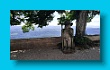 bayerischer_jakobsweg_2020_18.08.2020_83