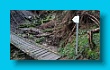 bayerischer_jakobsweg_2020_19.08.2020_104