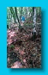 bayerischer_jakobsweg_2020_19.08.2020_97