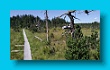 bayerischer_jakobsweg_2020_20.08.2020_122