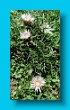 bayerischer_jakobsweg_2020_21.08.2020_141