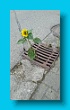 bayerischer_jakobsweg_2020_22.08.2020_164