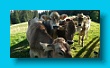 bayerischer_jakobsweg_2020_25.08.2020222