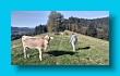 bayerischer_jakobsweg_2020_25.08.2020_217