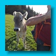 bayerischer_jakobsweg_2020_25.08.2020_220