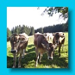 bayerischer_jakobsweg_2020_25.08.2020_223