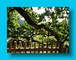bayerischer_jakobsweg_2020_25.08.2020_244