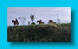 bayerischer_jakobsweg_2020_27.08.2020_266