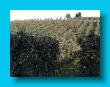 bayerischer_jakobsweg_2020_28.08.2020_289