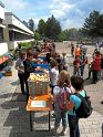 dekanats-ministrantentag_11.07.2009_09