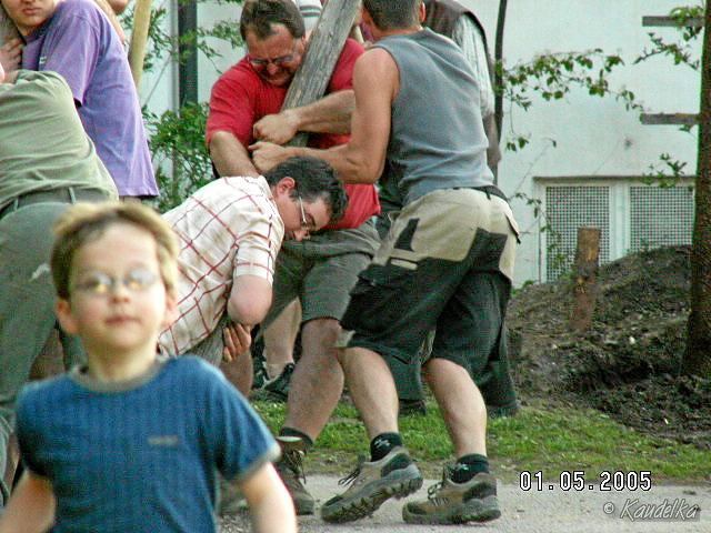 2005-05-01 maibaum aufstellen 084 01 05 2005 18 15 31 a