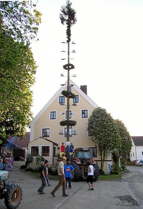2007-05-01 maibaum aufstellen 01 05 2007 19 17 23 b