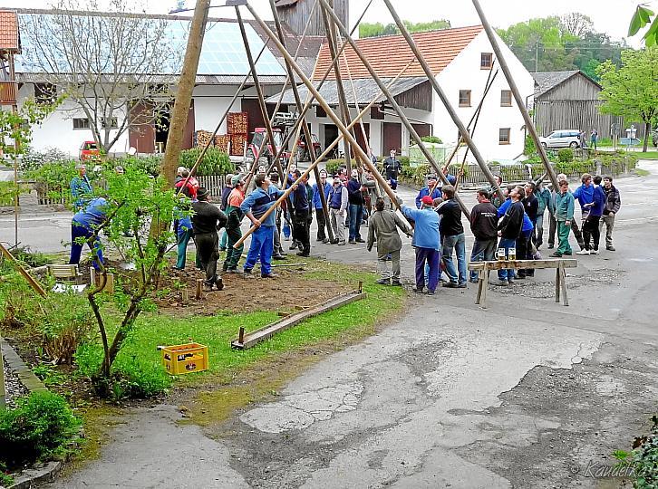 2010-05-01 maibaum-aufstellen 2010 01 05 2010 19 05 42 b
